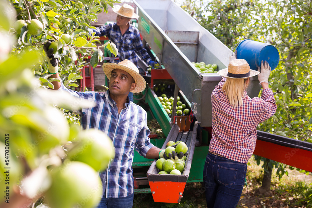 Who We Serve Migrant Adobe Stock 547006705 Preview